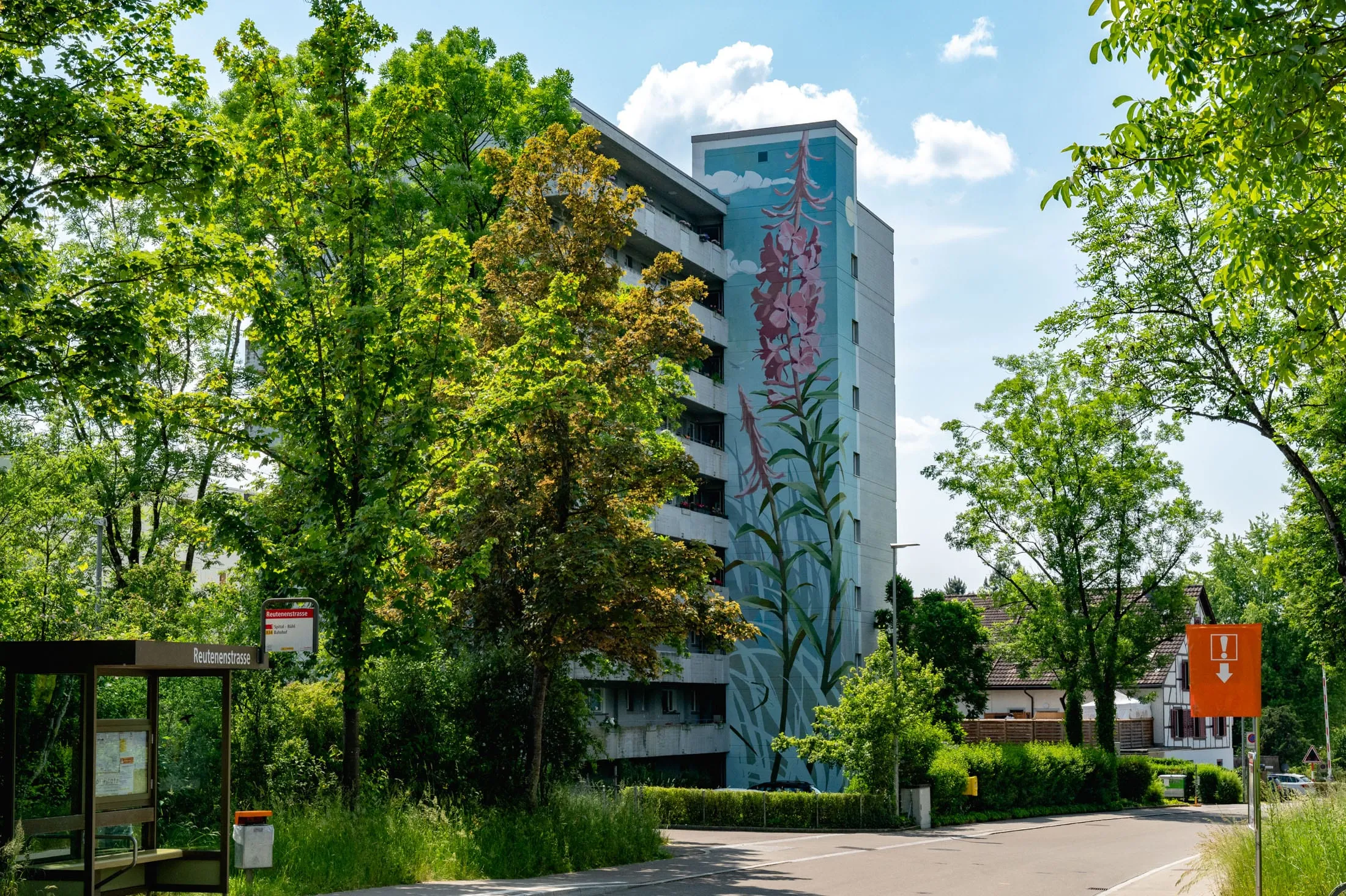 Fireweed, Bild 3 von 3